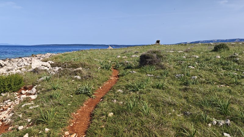 Lun, Pag, Croatia