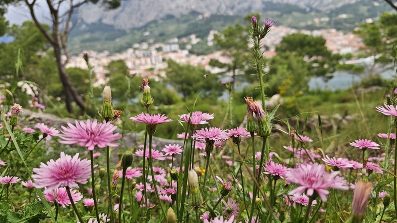 Makarska, Croatia