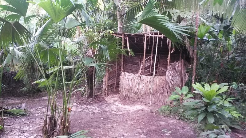 Toilet &#9786; in the jungle near San Pedro, Iquitos, Peru