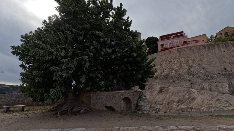 Calvi, Corsica