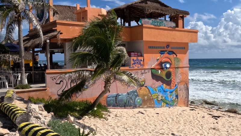 Señor Iguanas, Cozumel, Quintana Roo, México