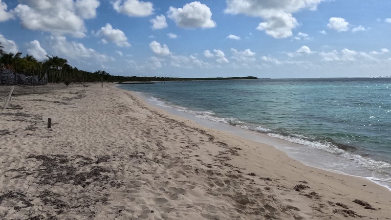 Playa Palancar, Cozumel, Quintana Roo, México