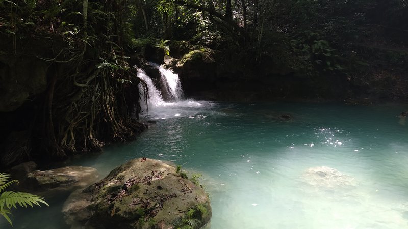 Kawasan Falls, Cebu island