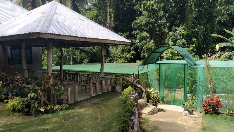 Butterfly Sanctuary, Siquijor
