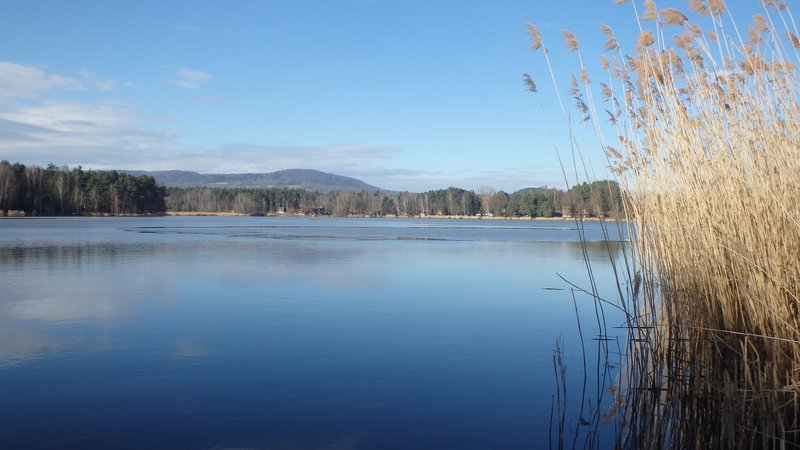 Milčanský rybník (lake)