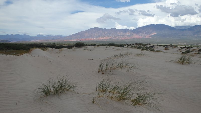 Dunes, Cafayate, Argentina
