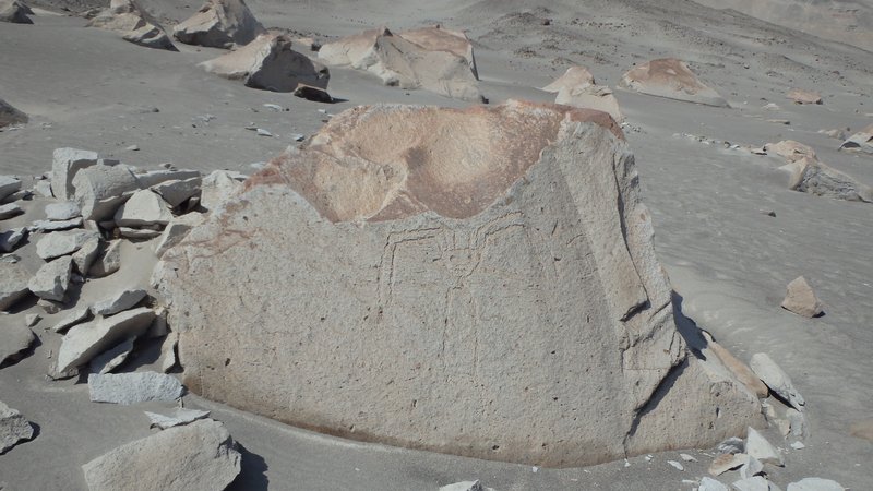 Toro Muerto petroglyphs, Peru