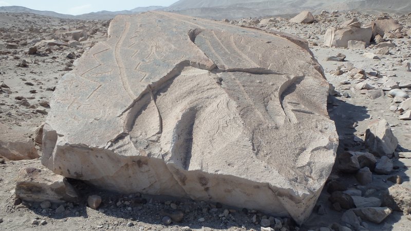 Toro Muerto petroglyphs, Peru