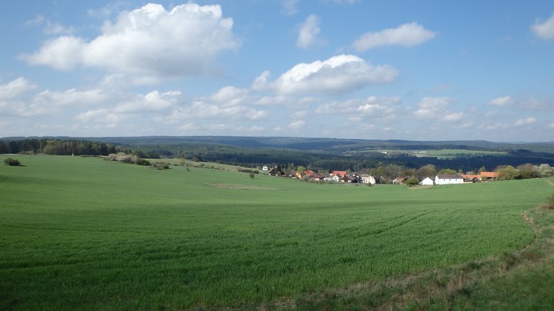 Fields near Manětín