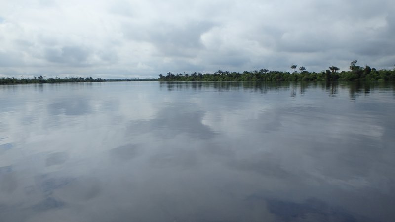 Jungle, Iquitos, Peru