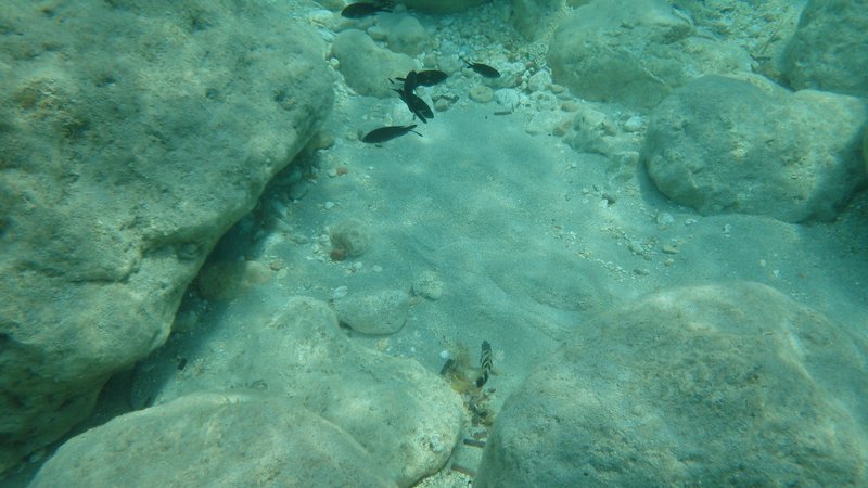 Snorkeling in Paradise Bay, Malta