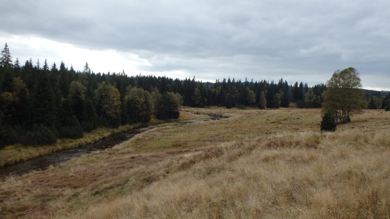 Roklanský potok (stream), near Modrava, Šumava, Czech Republic