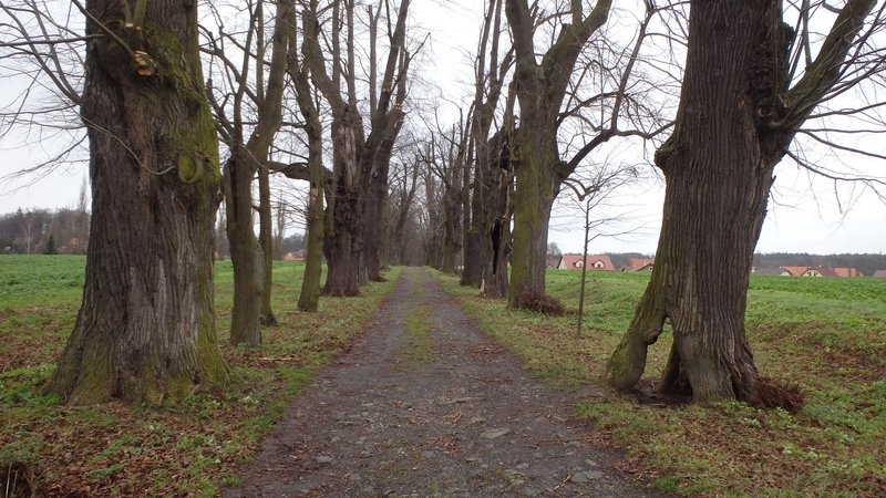 A path from Holany village to Zahrádky village